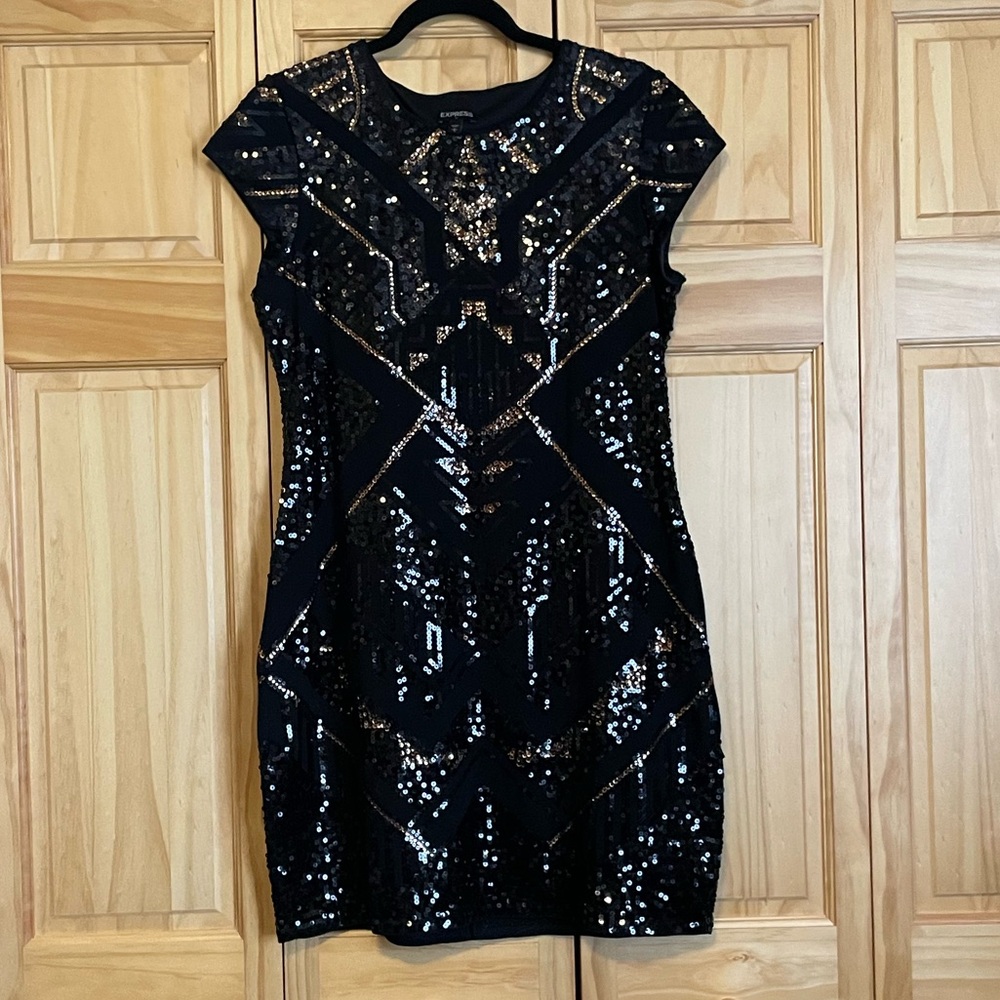 Express sequin dress